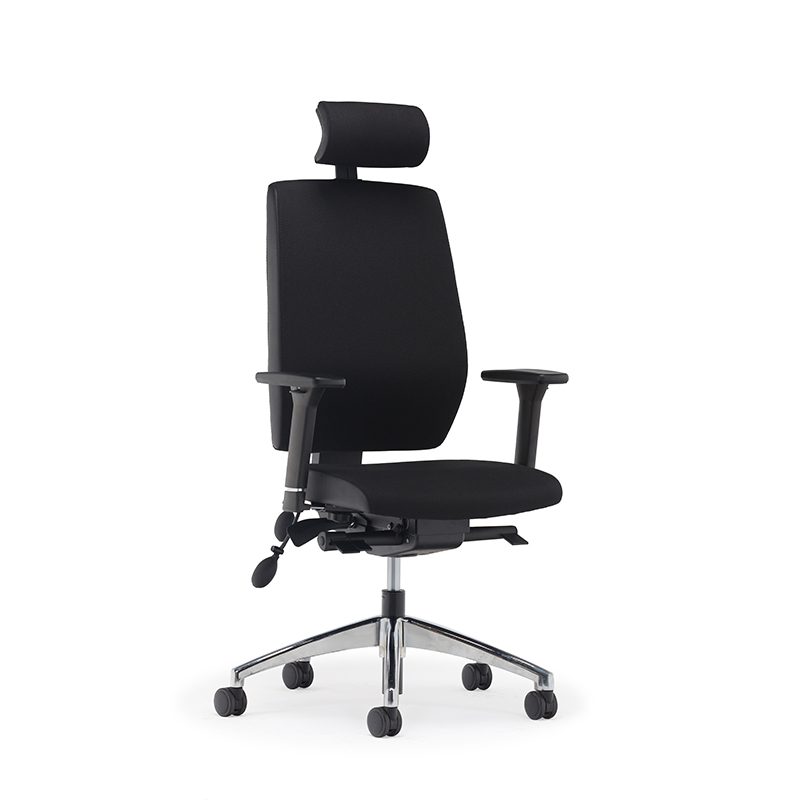 Meilleur dossier haut ergonomique soutien lombaire chaise de bureau exécutif - E2 Alpha 