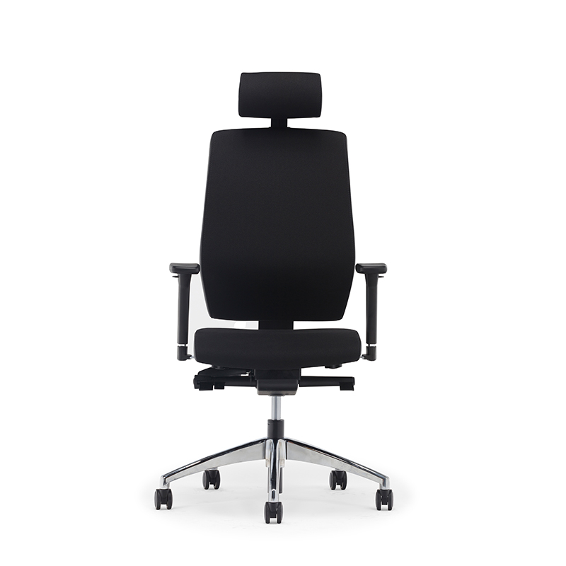 Meilleur dossier haut ergonomique soutien lombaire chaise de bureau exécutif - E2 Alpha 