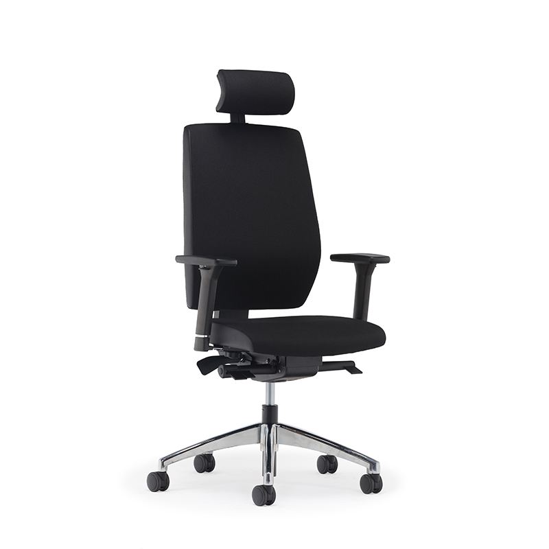 Meilleur dossier haut ergonomique soutien lombaire chaise de bureau exécutif - E2 Alpha 