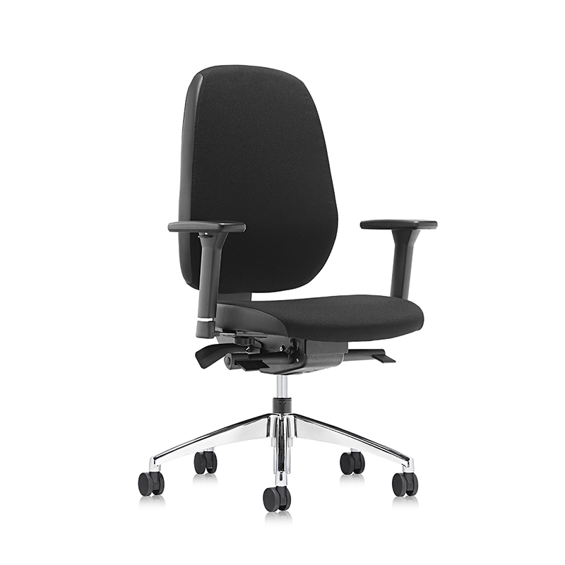 Fauteuil roulant ergonomique moderne réglable en hauteur - T3 Beta 