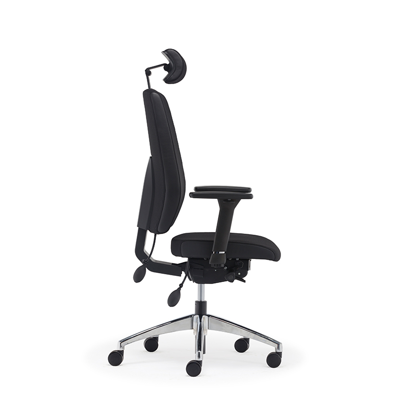 Meilleur dossier haut ergonomique soutien lombaire chaise de bureau exécutif - E2 Alpha 