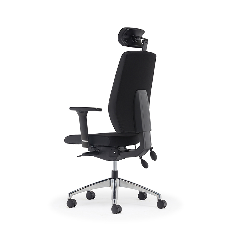 Meilleur dossier haut ergonomique soutien lombaire chaise de bureau exécutif - E2 Alpha 