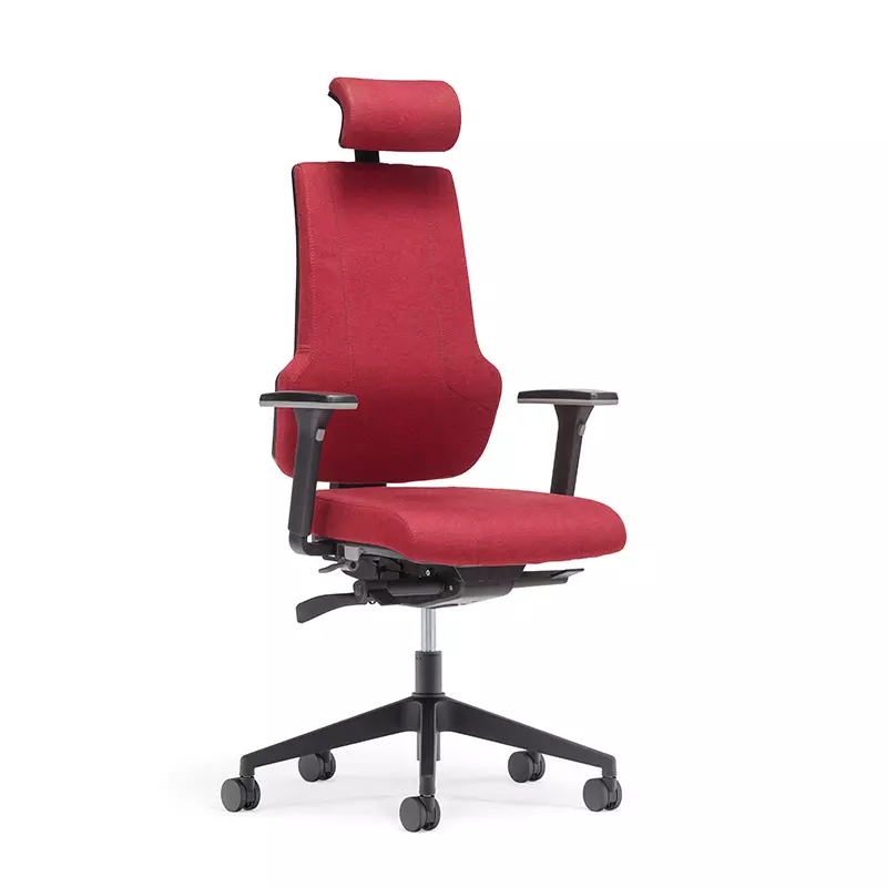 La meilleure chaise de bureau exécutive à dossier haut pour de longues périodes - e6 Era 